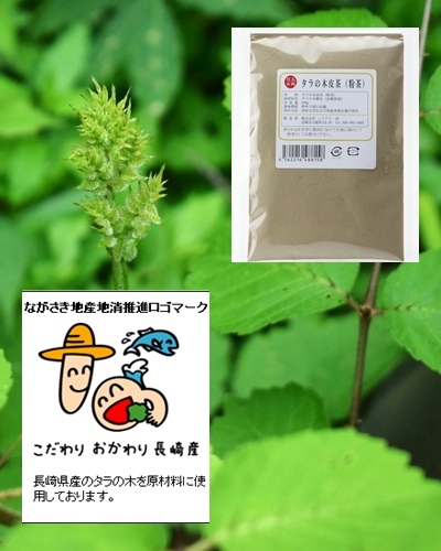 長崎県産　(雄ダラ-通称トゲ有) タラノキ皮茶(粉茶)100ｇ-送料無料　タラ根皮