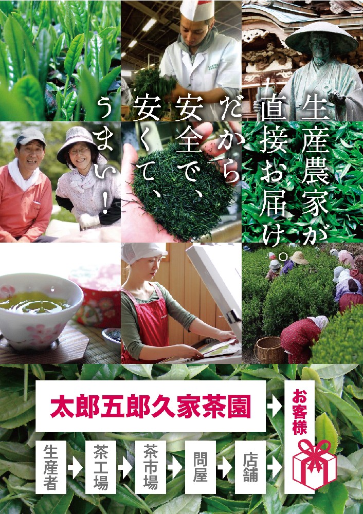 元祖八女茶　特上煎茶【霧の章】100ｇ×5本箱入