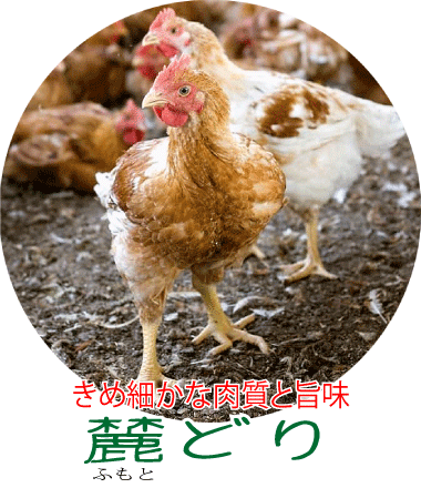 コラーゲンたっぷりのタッカンマリ 鍋料理セット 韓国の水炊き 佐賀県三瀬の麓どり 丸鶏 1羽 下処理済み 約1.6kg 大人4人分 特製鶏だし カルグス 自家製タデギ付き