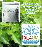 桑の葉茶(くわ茶)80ｇ(コップ135杯分)/1480円無農薬(送料無料)-