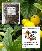 はかたマルシェ ２年物びわの葉茶(びわ茶)100ｇ/1480円-33ℓ分(長崎茂木産)送料無料/無農薬-長崎県地産地消推進ロゴマーク商品