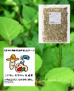 タラノキ茶(トゲ有皮)(タラの木茶)150ｇ(37回/22ℓ分)タラの葉茶-送料無料(長崎県地産地消推進商品)