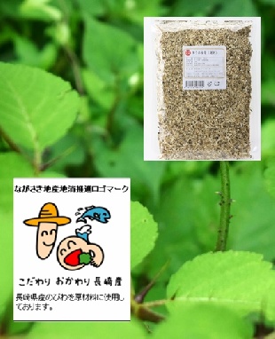 長崎県産　(雄ダラ-通称トゲ有) タラノキ茶(タラの木茶)150ｇ(37回/22ℓ分)-送料無料　タラ根皮