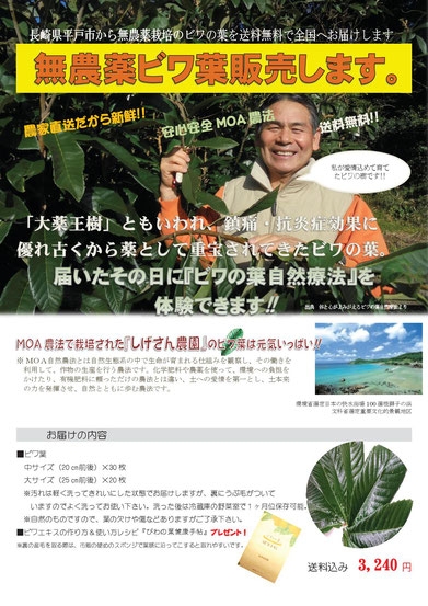 桑の葉茶(くわ茶)80ｇ(コップ135杯分)/1480円無農薬(送料無料)-