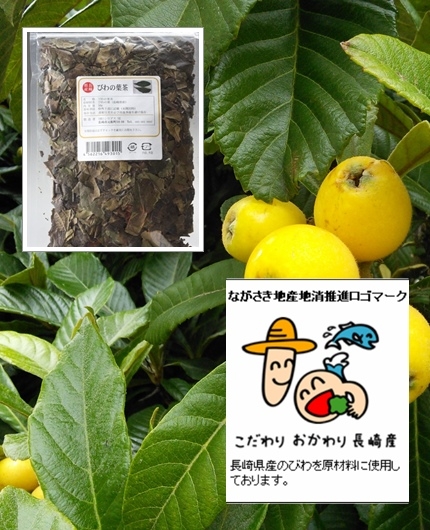 ２年物びわの葉茶 びわ茶 100ｇ 1480円 33ℓ分 長崎茂木産 送料無料 無農薬 長崎県地産地消推進ロゴマーク商品 よかもん市場