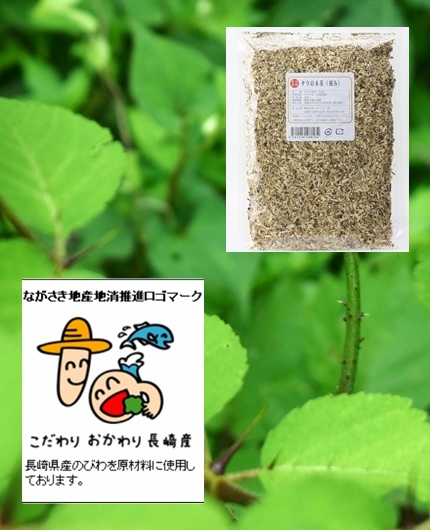 長崎県産　タラノキ茶(トゲ有皮)(タラの木茶)300ｇ(75回/45ℓ分)無農薬-送料無料　タラ根皮