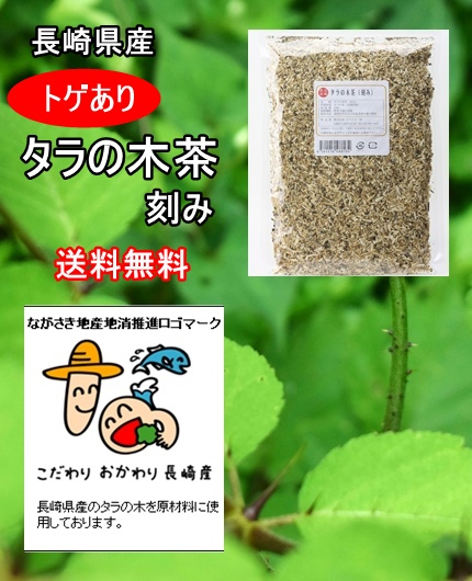 タラノキ茶 トゲ有皮 タラの木茶 300ｇ 75回 45ℓ分 タラの葉茶 無農薬 送料無料 長崎県地産地消推進商品 よかもん市場