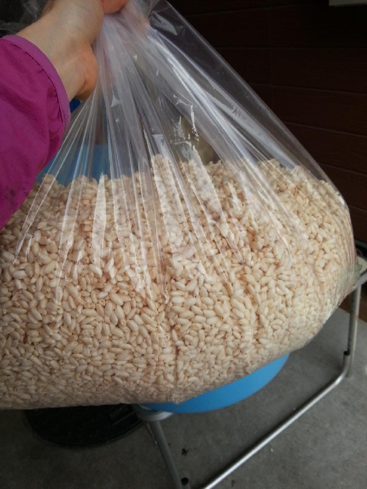 お友達と分け合えるbigなポン菓子 よかもん市場 お友達と分け合えるbigなポン菓子 よかもん市場