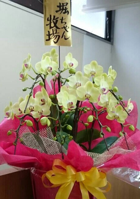 カレー屋さんのご開店お祝いに