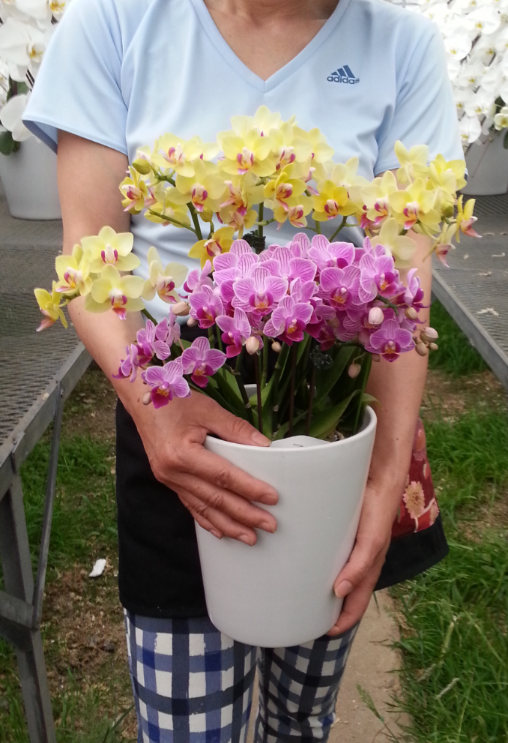 　たっぷりのお花つきににっこりです！