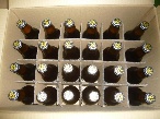 蔵屋 《福岡県・糸島市》いとしまＢＥＥＲペールエール（24本入り）