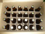 いとしまBEER（330ml×20本入）