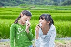吉住米や 令和4年産　糸島の夢つくし　1５k