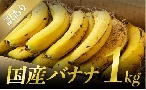 株式会社九州特産品販売 皮まで食べれる！無農薬栽培の国産バナナ約１㎏（訳あり）