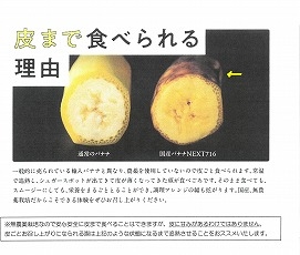 無農薬