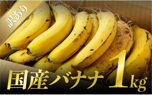 皮まで食べれる！無農薬栽培の国産バナナ約１㎏（訳あり）