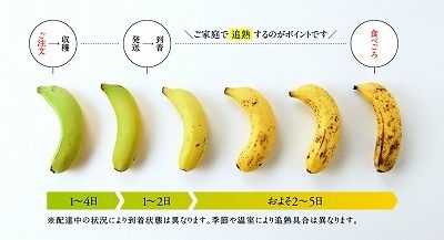 皮まで食べれる！無農薬栽培の国産バナナ約1㎏（訳あり） - よかもん市場