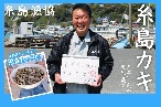 もっと福岡よかもんマルシェ 糸島牡蠣小屋の糸島カキ通販｜たっぷり1kg♪【ボイルむき身冷凍】500g×2袋セット