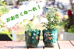 お花の黒板工作ポット「クリエイポット」