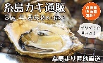 もっと福岡よかもんマルシェ 人気！牡蠣小屋・糸島カキ3kg通販｜福岡県糸島から産地直送！