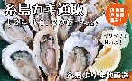 もっと福岡よかもんマルシェ 人気！牡蠣小屋・糸島カキ10kg通販｜福岡県糸島から産地直送！