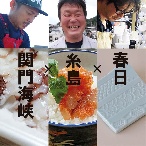 お中元・お祝いギフト｜英一郎製磁折紙皿青白滋×糸島めん鯛×関門海峡たこ