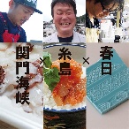 お中元・お祝いギフト｜英一郎製磁折紙皿青滋×糸島めん鯛×関門海峡たこ