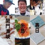 お中元・お祝いギフト｜英一郎製磁折紙皿2枚×糸島めん鯛×関門海峡たこ