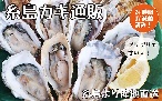 人気！牡蠣小屋・糸島カキ10kg通販｜福岡県糸島から産地直送！