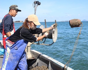 関門海峡たこの美味しさを知って欲しい