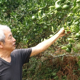 木酢を復活させる「鈴木木酢園」鈴木研治さん