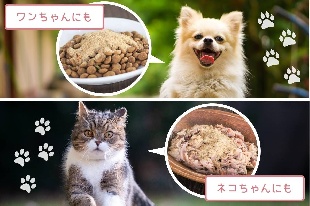 使い方はとっても簡単！