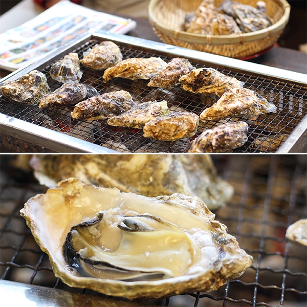 糸島牡蠣小屋の糸島カキ通販 たっぷり1kg ボイルむき身冷凍 500g 2袋セット よかもん市場 糸島牡蠣小屋の糸島カキ通販 たっぷり1kg ボイルむき身冷凍 500g 2袋セット よかもん市場