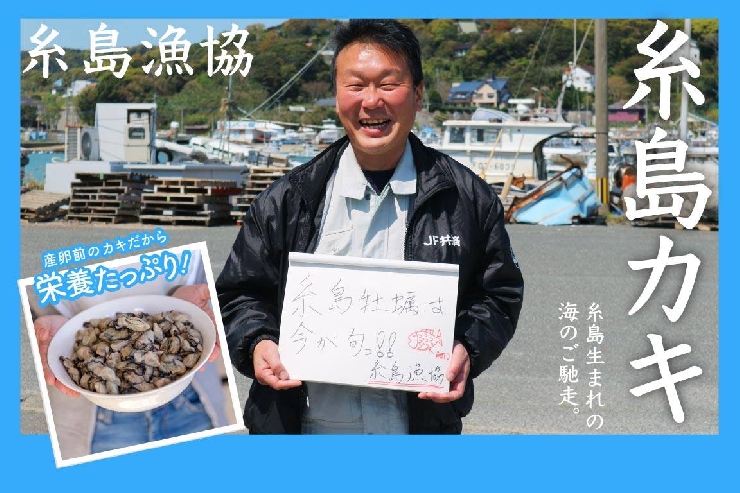 糸島牡蠣小屋の糸島カキ通販｜たっぷり1kg♪【ボイルむき身冷凍】500g×2袋セット