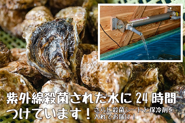 【ギフト対応】糸島・旬の岩牡蠣お取り寄せ通販｜牡蠣小屋産地直送・福岡県糸島から！