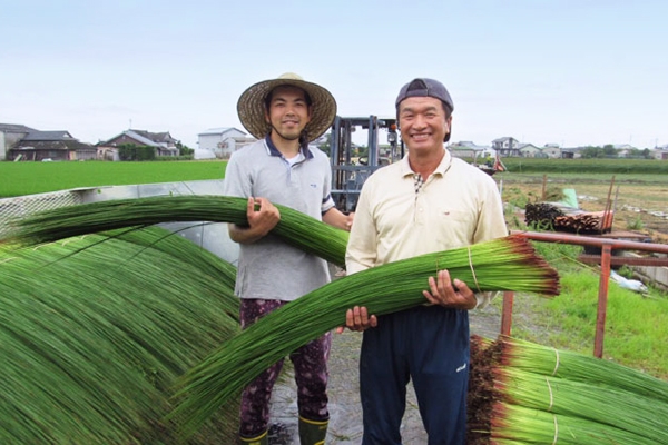 出産祝いにおすすめイチオシ♪赤ちゃんに優しい【無染土い草】自然素材の置き畳-佐野畳屋