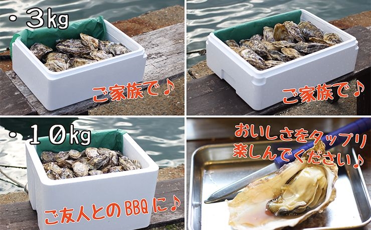 人気！牡蠣小屋・糸島カキ3kg通販｜福岡県糸島から産地直送！