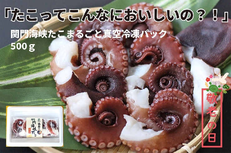 【敬老の日】関門海峡たこ刺身・まるごと刺身が美味いお取り寄せ！冷凍真空セットA｜北九州市漁協平松支所・愛海丸