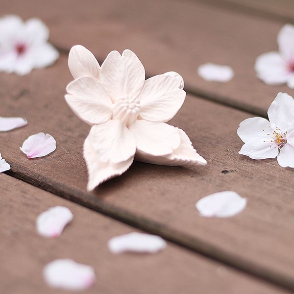 さくら(桜)のアロマストーン - よかもん市場