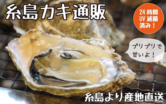 人気！牡蠣小屋・糸島カキ3kg通販｜福岡県糸島から産地直送！
