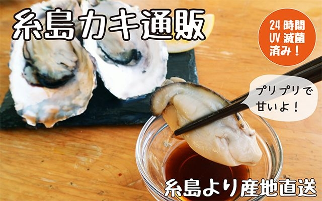 人気！牡蠣小屋・糸島カキ6kg通販｜福岡県糸島から産地直送！