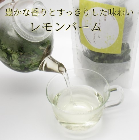 レモンバーム よかもん市場