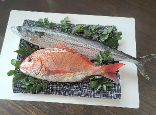 お魚に特化した料理教室とカフェで生まれた美味しいものをお届けしたい