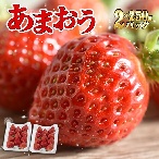 福津いいざい フレッシュあまおう500g(250g×2P)【受取日指定不可】