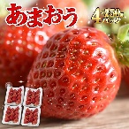 福津いいざい フレッシュあまおう1㎏(250g×4P)【受取日指定不可】