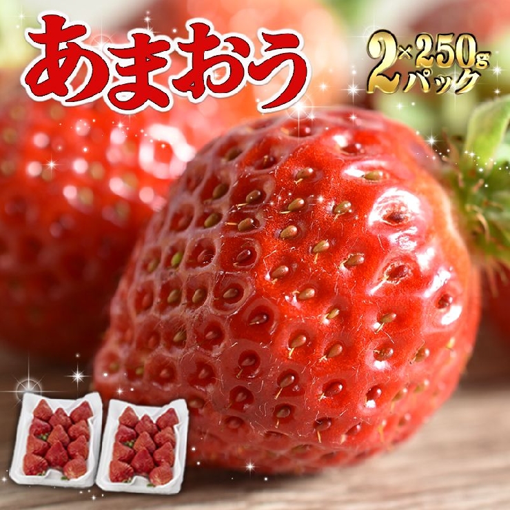 フレッシュあまおう500g(250g×2P)【受取日指定不可】